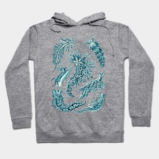 Ernst  Haeckel Nudibranchia Sea Slug Cerulean Hoodie